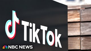 Watch House votes on bill that could ban TikTok  NBC News [upl. by Lain44]