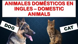 ANIMALES DOMÉSTICOS en INGLÉS [upl. by Nattirb]