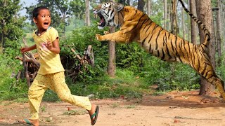 tiger attack man in the forest  tiger attack in jungle royal bengal tiger attack [upl. by Dressler]