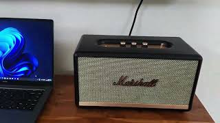 Marshall Stanmore 2  Best Ever Bass Speaker with Eye Catching LookHonest Review after 1 year usage [upl. by Rog]