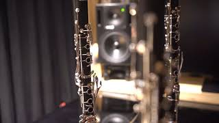 Bernhard Henrik Crusell  Clarinet Concerto No2 in Fminor Op5 2nd mov [upl. by Eimak]