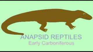 PL3MAMMAL EVOLUTION PELYCOSAUR TO MAMMAL TRANSITION [upl. by Ahsika372]