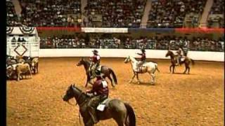 Fort Worth Stock Show Overview [upl. by Bryanty]