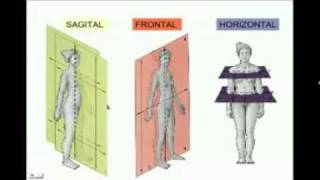 Anatomia Espacial quotposición anatómica planos y ejesquot [upl. by Haet315]