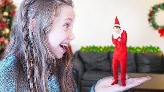 Elf on the Shelf Caught on Camera Every Clip in one Video Trinity and Beyond [upl. by Stover]