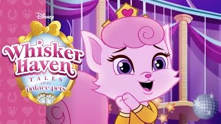 A Dreamyful Birthday  Whisker Haven Tales with the Palace Pets  Disney Junior [upl. by Hserus]