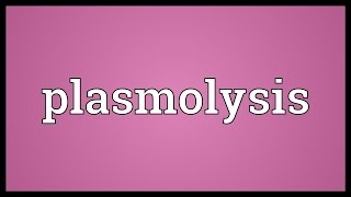 Plasmolysis Meaning [upl. by Pliam11]