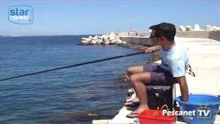 Come pescare in mare le boghe con la canna fissa  Star FishingTV [upl. by Obadias]