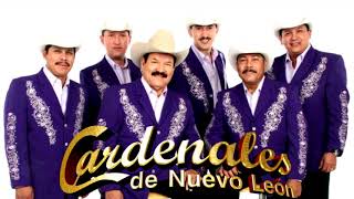 LOS CARDENALES DE NUEVO LEON MIX LOS MEJORES EXITOS PARA BAILAR VOL 1 [upl. by Livesay]