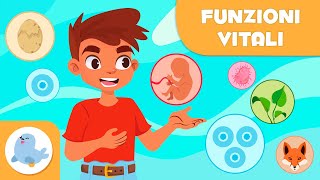 Le FUNZIONI VITALI degli ESSERI VIVENTI  Relazione nutrizione e riproduzione  Scienza per bambini [upl. by Okiruy]