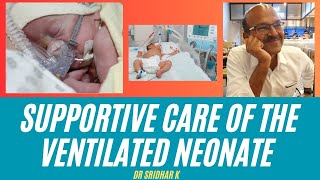 Supportive care in the ventilated neonate neonatology [upl. by Jordana]