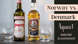 What Does Aquavit Taste Like  AQUAVIT TASTE TEST [upl. by Pearce914]