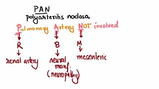 Polyarteritis nodosa PAN Mnemonic [upl. by Ettesus604]