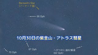 10月30日の紫金山・アトラス彗星 [upl. by Yztim]