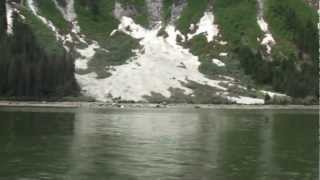 Fords Terror Inlet amp Dawes Glacier [upl. by Hieronymus]