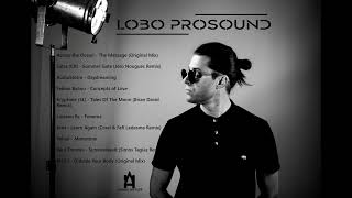 GOLDEN SPACE MIX 120  LOBO PROSOUND 492024 DEEPPROGRESSIVE [upl. by Winifield]