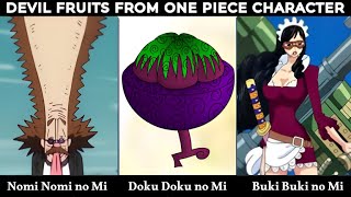 PARAMECIA Devil Fruit In ONE PIECE Characters [upl. by Kirby]