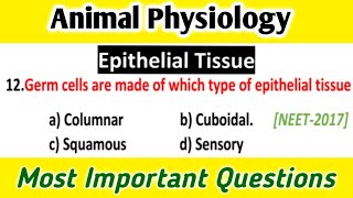 Animal Tissue MCQs  Epithelial tissue Most Important Questions [upl. by Coumas341]