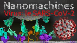 Nanomachines biologiques SARSCoV2 et gestion cellulaire des protéines  Passescience 50 [upl. by Ttergram]