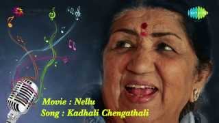 Kadhali Chengathali song  Nellu [upl. by Llertac]