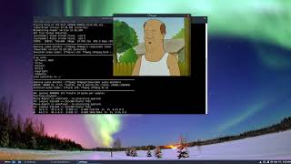 How To Play Video From The Terminal In Linux With Mplayer [upl. by Abil]