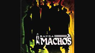 Banda Machos Mini Mix [upl. by Eisset]