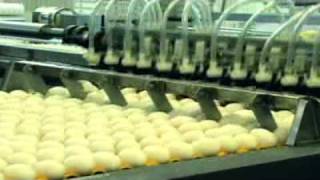 Midwest Poultry Services Egg Production and Packaging [upl. by Mackintosh]