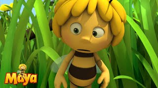 A new responsibility  Maya the Bee🐝🍯🐝 [upl. by Aksoyn]