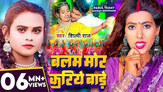 Video  शिल्पी राज  बलम मोर करिये बाड़े  Shilpi Raj  Parul Yadav  Bhojpuri Hit Song [upl. by Ahsiekin]