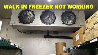 WALK IN FREEZER NOT WORKING [upl. by Quintus]