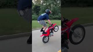 Crf110 honda crf110 wheelie bikelife [upl. by Welbie264]