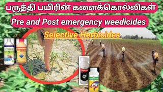 பருத்தி பயிருக்கு சரியான களைக்கொல்லிகள்  cotton weedicides  vivasaya pokkisham [upl. by Ltsyrk]