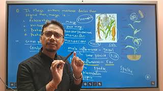 CEE 2081 MEMORY BASED QUESTIONS Part 12 UNIT DEVELOPMENTAL AND APPLIED BOTANY [upl. by Schmitt485]