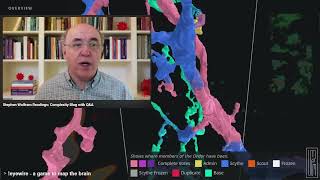 Stephen Wolfram  Charting a Course for “Complexity” Metamodeling Ruliology and More Blog with QampA [upl. by Durkee]