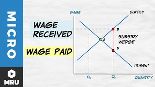 Wage Subsidies [upl. by Coulson]