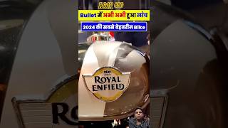 Royal enfield  new launch Interceptor BEAR 650  automobile shots shorts fordikon autobizz [upl. by Haik560]