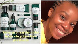 MY SKINCARE ROUTINE USING THE BODY SHOP TEA TREE PRODUCTS [upl. by Enneire646]