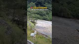 Zemithang arunachalpradesh arunachal peace zemithang [upl. by Ashli450]