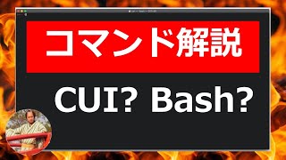 Linuxコマンドの使い方入門｜CUIとGUIの違いやシェルについて解説！【プログラマー必須スキル】 [upl. by Mcgray]