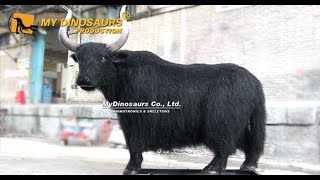 Animatronic Wild Yak Animatronic Domestic Yak [upl. by Jonny899]