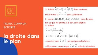 LA DROITE DANS LE PLAN TRONC COMMUN SC V1 [upl. by Ecerehs348]