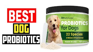 ✅Top 5 Best Dog Probiotics in 2024 [upl. by Rrats]