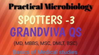 Microbiology Mbbs PracticalMicrobiology Practical spottersMicrobiology grandviva Qs [upl. by Caiaphas]