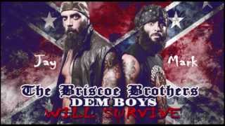 The Briscoe Brothers Promo Theme [upl. by Armando]