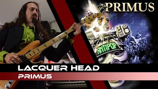 Primus  Lacquer Head  BASS COVER [upl. by Rafter930]