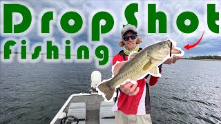 Boskop Dam Bass Fishing with The New Nikko Lures DropShot Was The Winning Rig [upl. by Uda]