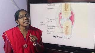 Lecture On Joints Of Thorax [upl. by Kcirtap]