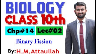 Binary fission  Chapter  14  Biology Class 10th  Lec 02 [upl. by Nomihs986]