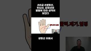 손금 생명선 두뇌선 감정선의 발달에 따라 성격이 보인다 [upl. by Anerres]