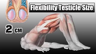 kegel exercise increase flexibility testicle size [upl. by Llednahs]